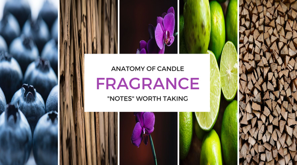 ANATOMY OF CANDLE FRAGRANCE: "NOTES" WORTH TAKING